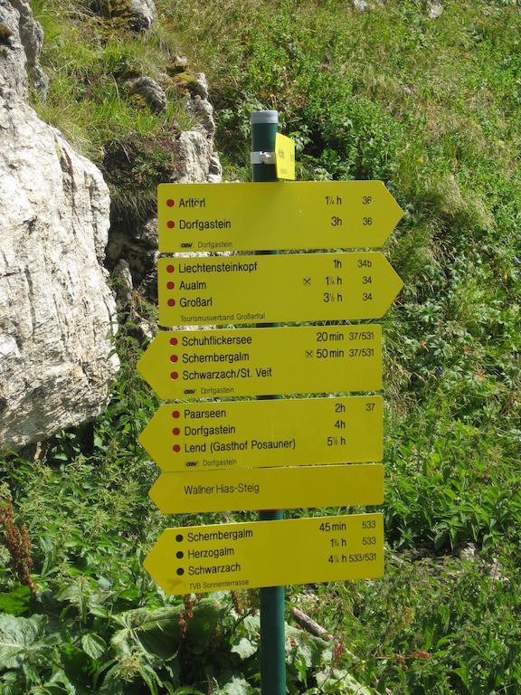 Bergparadies - Inklusive Eintritt In Die Alpentherme Дорфгащайн Екстериор снимка