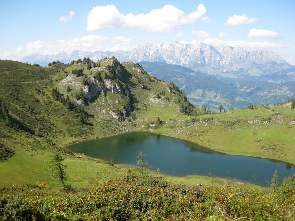 Bergparadies - Inklusive Eintritt In Die Alpentherme Дорфгащайн Екстериор снимка